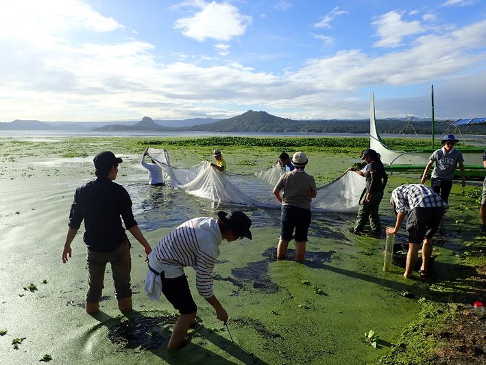 タール湖でのフィールドワーク:水生動物の採取と分類 タール湖