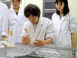 生物資源管理学実験・実習Ⅳ