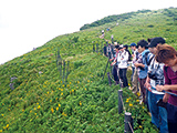 陸域環境学・同実験