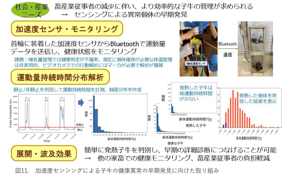 図11. 加速度センシングによる子牛の健康異常の早期発見に向けた取り組みの概要図