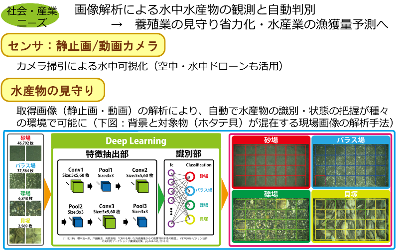▲水産業におけるスマート化手法例(海底の貝の検出)。