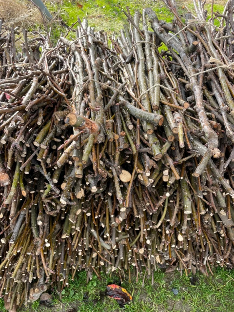 a3e1020e6b1c5cdced42d69cf26acbc1