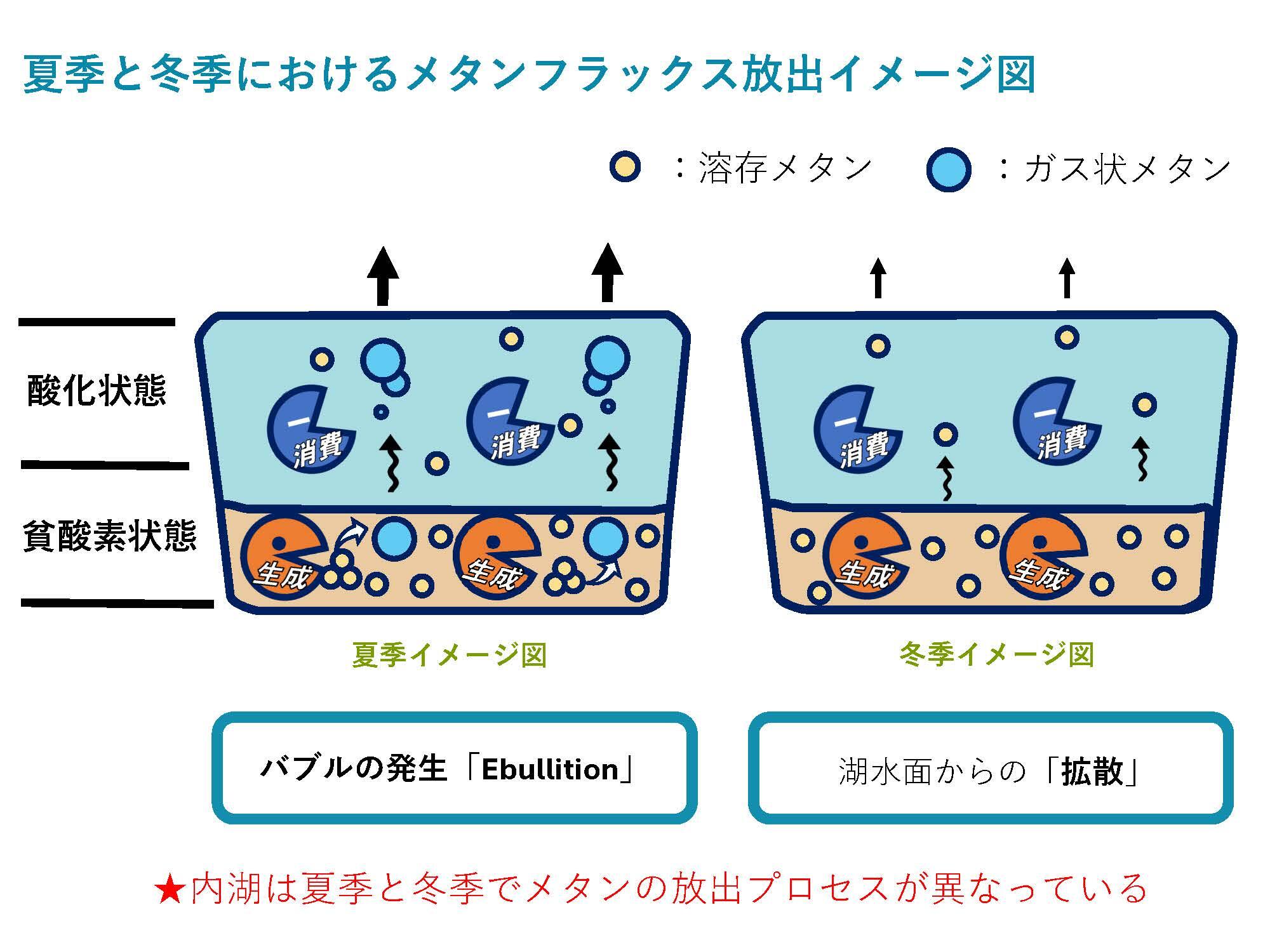 メタン放出メカニズムイメージ図