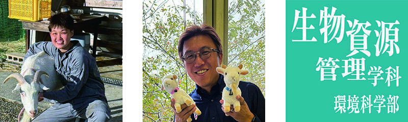 e8b4e76d590400a60983338fa90c5f80