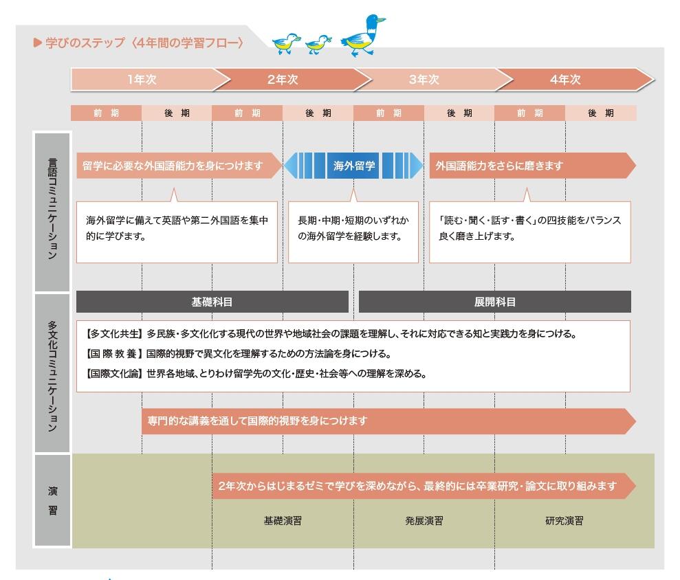 学びのステップ(4年間の学習フロー)