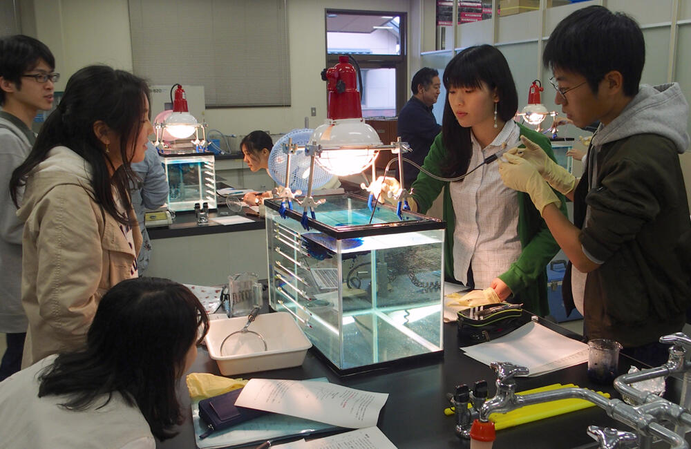 「地球科学実験」の授業にて,湖沼の水塊鉛直構造を解析するようす