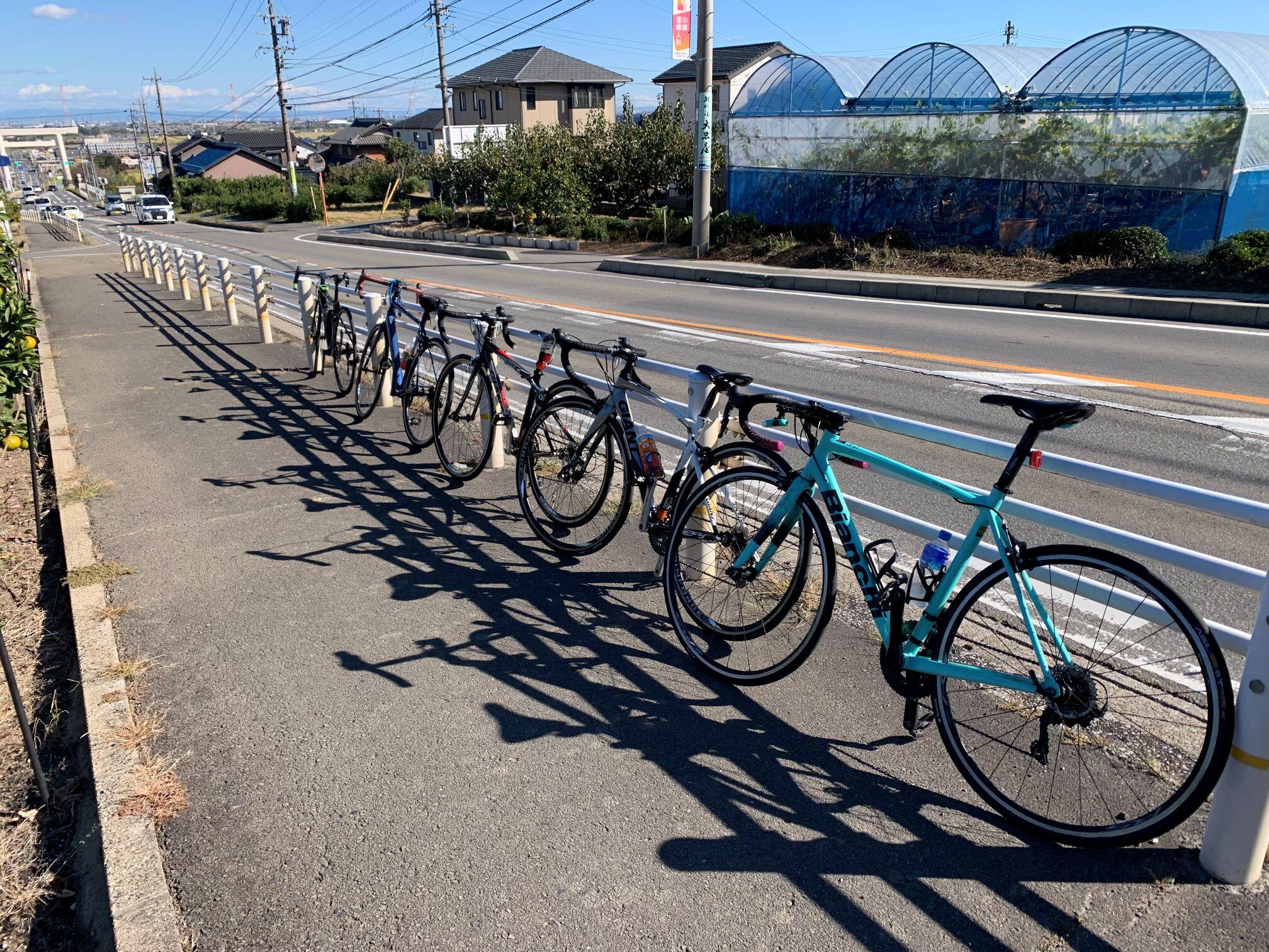 ★サーりんりん (2).jpeg