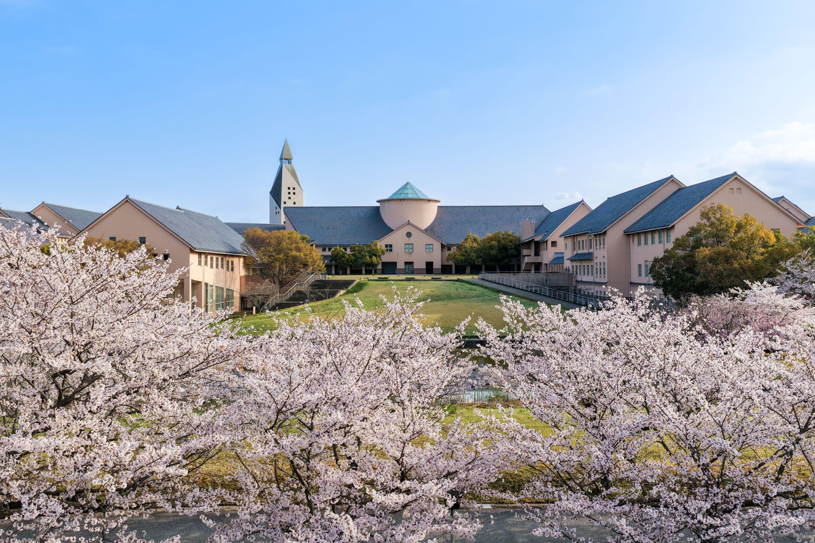 20260406_桜_空撮写真13 (2).jpg