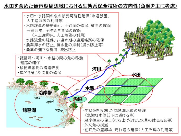 水田を含めた琵琶湖周辺域における生態系保全技術の方向性（魚類を主に考慮）