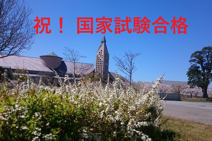 看護_国家試験合格.png