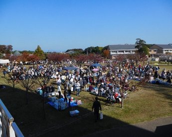 湖風祭の写真