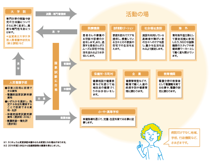 キャリア・活動の場