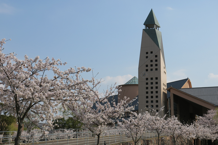 桜咲く県大