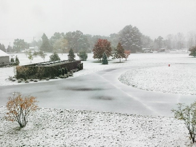 初雪 初雪