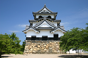 Hikone Castle