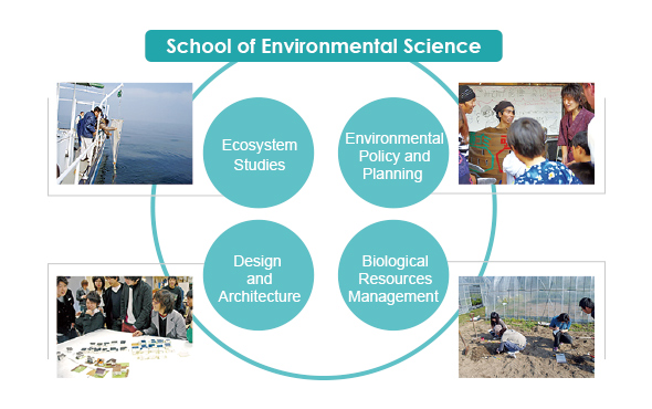Environment Chart For School