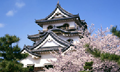 Hikone castle